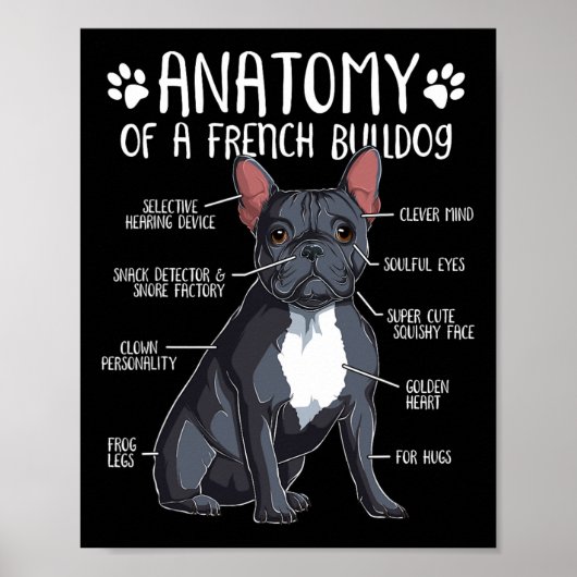 Franse Bulldog Anatomie Frenchie Hondenliefhebber  Poster (Voorkant)