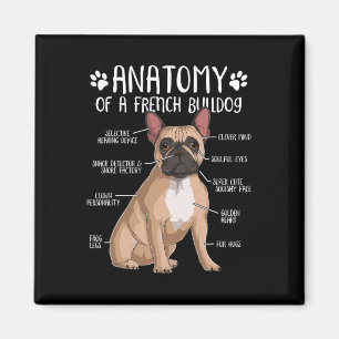 Franse Bulldog Anatomy Frenchie Hondenliefhebber E Magneet
