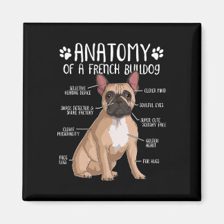 Franse Bulldog Anatomy Frenchie Hondenliefhebber E Magneet