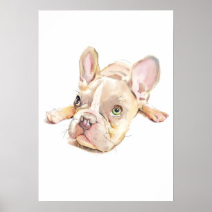 Franse Bulldog Aquarel Poster, Wandkunst  Poster