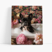 Franse Bulldog Art | Frans in badkuip Badkamer Canvas Afdruk