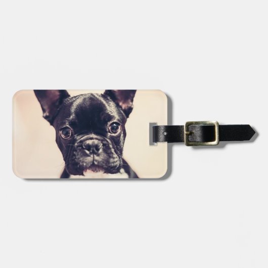Franse Bulldog Bagagelabel (Voorkant horizontaal)