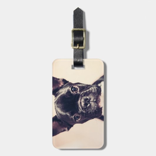 Franse Bulldog Bagagelabel (Voorkant verticaal)