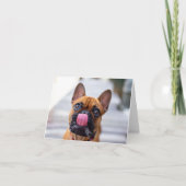 franse bulldog bedankkaart (Voorkant)