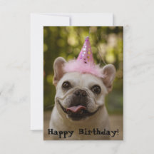 Franse Bulldog Birthday Kaart