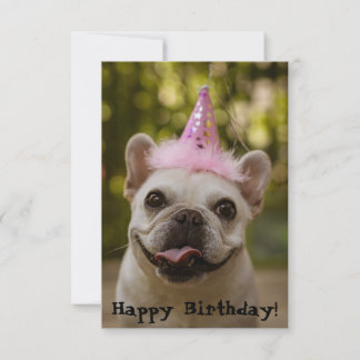 Franse Bulldog Birthday Kaart
