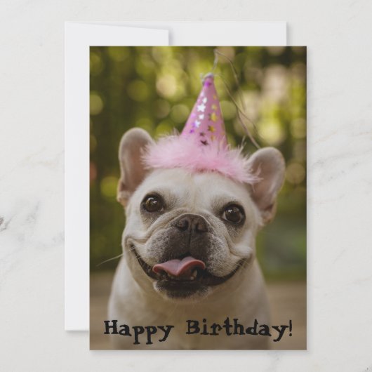 Franse Bulldog Birthday Kaart (Voorkant)
