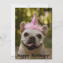 Franse Bulldog Birthday Kaart