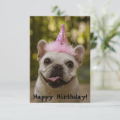 Franse Bulldog Birthday Kaart (Staand voorkant)