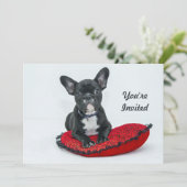 Franse Bulldog Black Pillow Foto Birthday Kaart (Staand voorkant)
