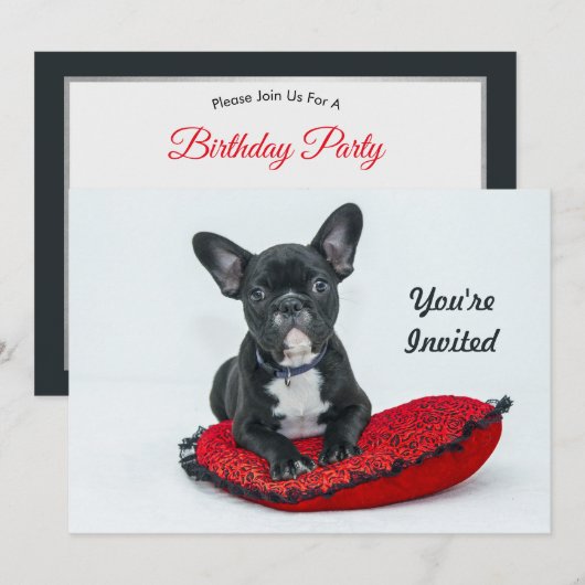 Franse Bulldog Black Pillow Foto Birthday Kaart (Voorkant / Achterkant)