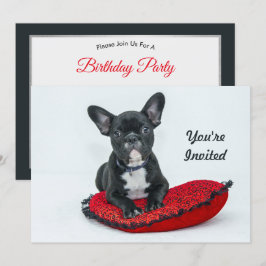 Franse Bulldog Black Pillow Foto Birthday Kaart