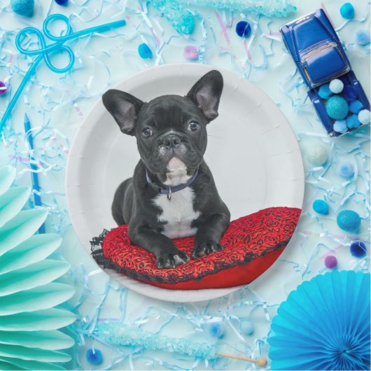 Franse Bulldog Black Pillow-foto Papieren Bordje (Feest)