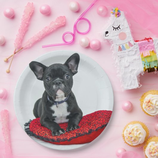 Franse Bulldog Black Pillow-foto Papieren Bordje (Feest)