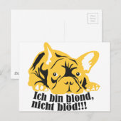 Franse Bulldog: Blond! Briefkaart (Voorkant / Achterkant)