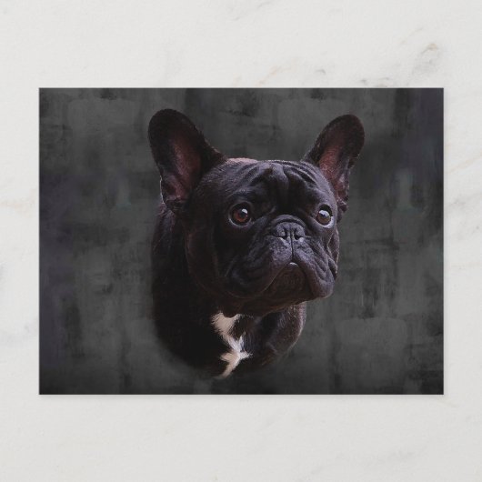 Franse Bulldog Briefkaart (Voorkant)