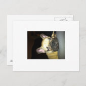 Franse bulldog briefkaart (Voorkant / Achterkant)