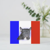 Franse Bulldog Briefkaart (Staand voorkant)