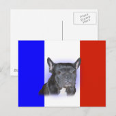 Franse Bulldog Briefkaart (Voorkant / Achterkant)