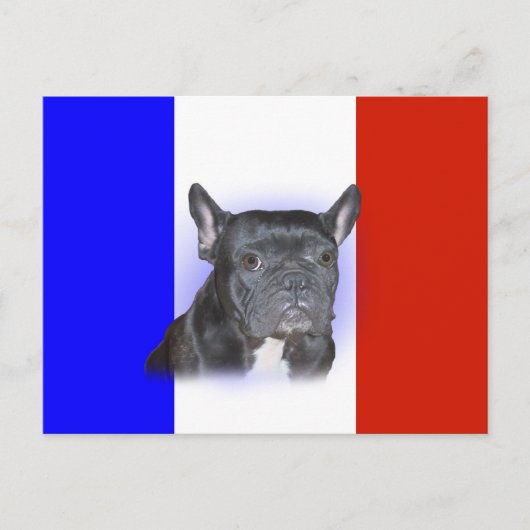Franse Bulldog Briefkaart (Voorkant)
