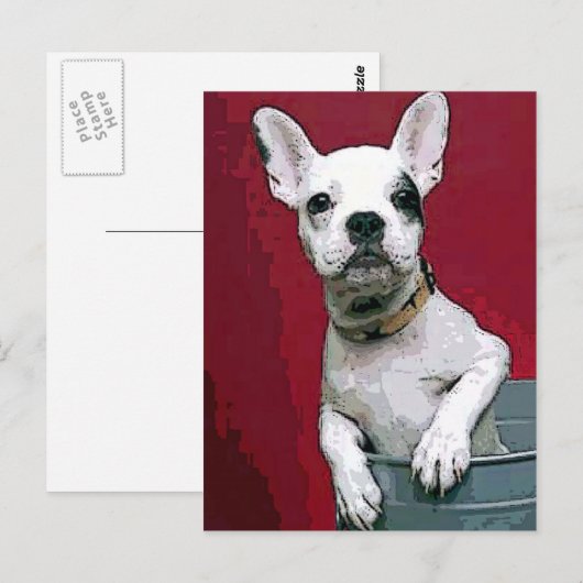 Franse Bulldog Briefkaart (Voorkant / Achterkant)