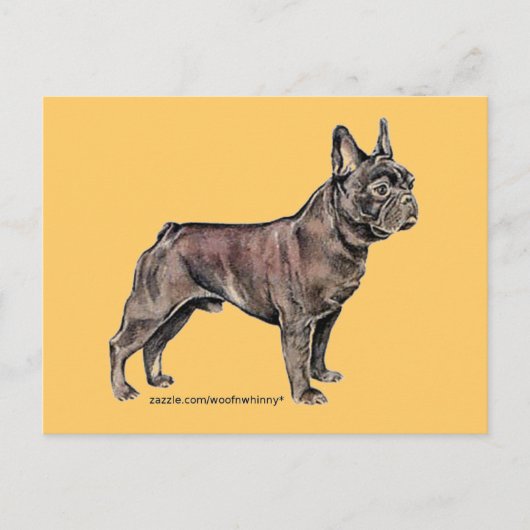 Franse Bulldog! Briefkaart (Voorkant)
