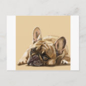 Franse Bulldog Briefkaart (Voorkant)