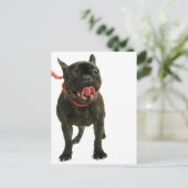 Franse Bulldog Briefkaart (Staand voorkant)