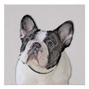 Franse Bulldog (Brindle Pied) - Schilderen - Dog A Perfect Poster