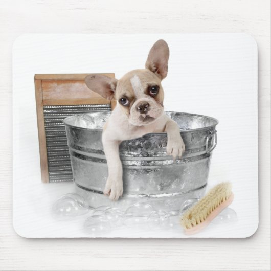 Franse Bulldog Brown & White Puppy Dog Inname Bath Muismat (Voorkant)
