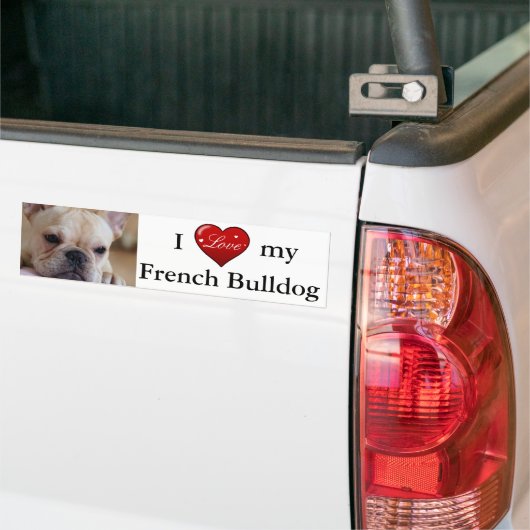 Franse Bulldog Bumpersticker (Op Truck)