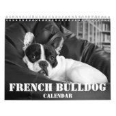 Franse Bulldog Calendar 2023 Black White Photos Kalender (Hoes)
