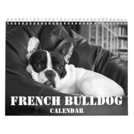 Franse Bulldog Calendar 2023 Black White Photos Kalender