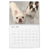Franse Bulldog Calendar for Hondenliefhebbers! Kalender (Mar 2026)