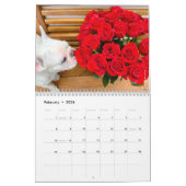 Franse Bulldog Calendar for Hondenliefhebbers! Kalender (Feb 2026)