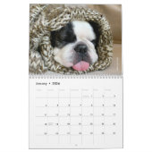 Franse Bulldog Calendar for Hondenliefhebbers! Kalender (Jan 2026)