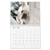 Franse Bulldog Calendar-Fredrick the Frenchie Kalender (Mar 2026)