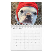 Franse Bulldog Calendar - Fredrick the Frenchie  Kalender (Feb 2027)