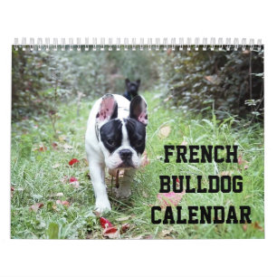 Franse Bulldog Calendar voegt uw foto's toe Kalender
