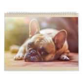 Franse Bulldog Calender Kalender (Hoes)
