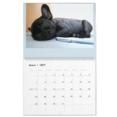 Franse Bulldog Calender Kalender (Mar 2027)