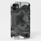 Franse Bulldog Case-Mate iPhone Case (Achterkant)