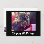 Franse Bulldog Cute Happy Birthday Briefkaart (Voorkant / Achterkant)