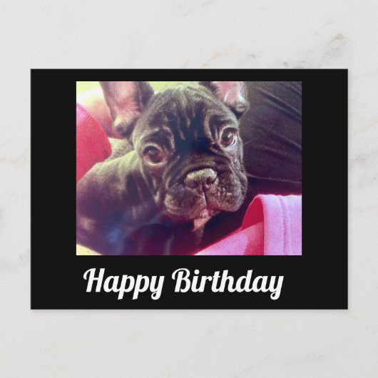 Franse Bulldog Cute Happy Birthday Briefkaart (Voorkant)