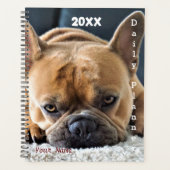 Franse Bulldog - Dagelijkse Planner - HAMbWG (Voorkant)