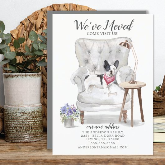 Franse Bulldog Dog We hebben een bewegende aankond Aankondiging