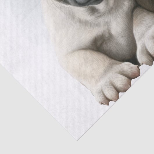 Franse Bulldog Dogs Cute Couple Tissuepapier (Detail)