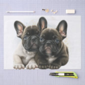 Franse Bulldog Dogs Cute Couple Tissuepapier (Craft)