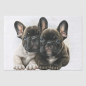 Franse Bulldog Dogs Cute Couple Tissuepapier (Voorkant)