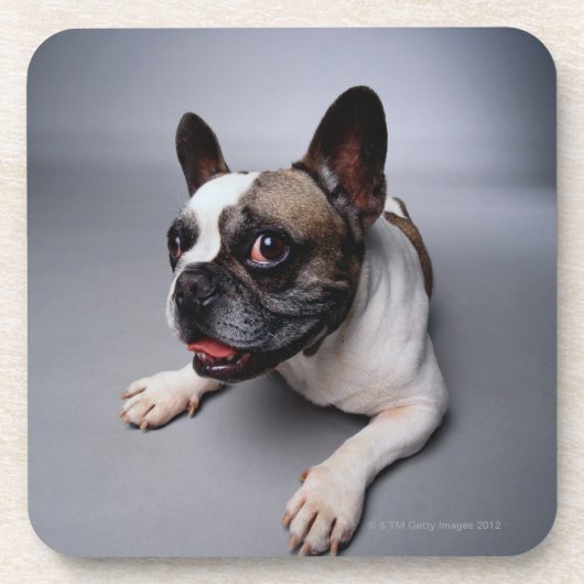 Franse Bulldog Drankjes Onderzetter (Voorkant)